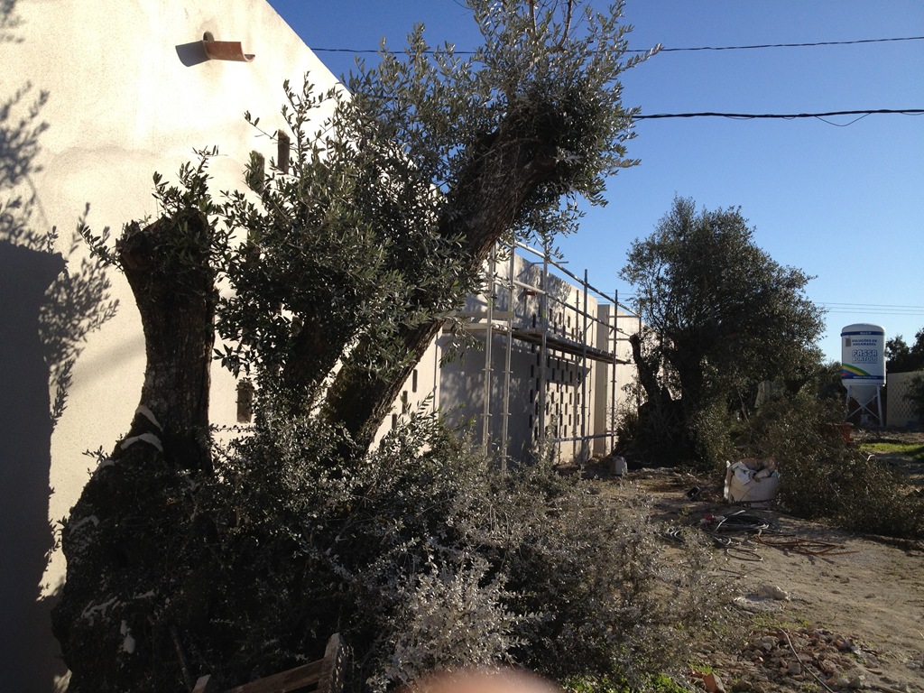 [IMG_0109%255B3%255D.jpg]