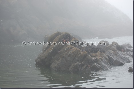 DSC_0912 DSC_0912
