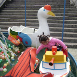 DSC02530.JPG