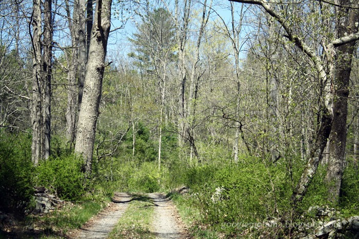 [water%2520house43%255B3%255D.jpg]