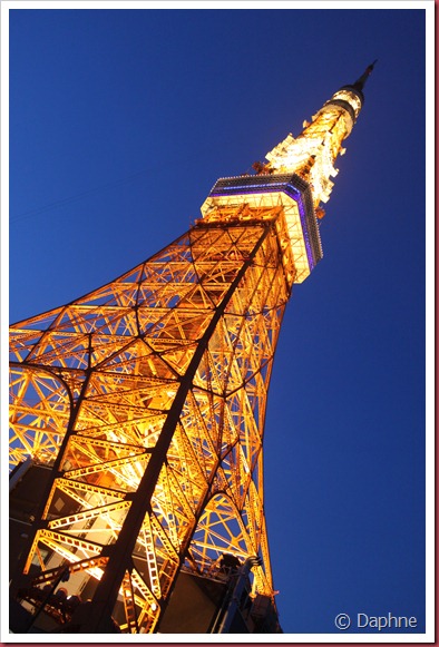 IMG_2415 IMG_2415