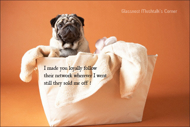 Never love your company, love your job, you never know when your company stops loving you