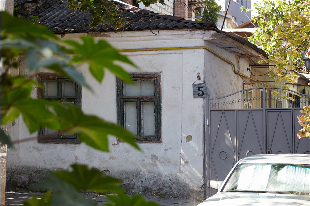 115.jpg