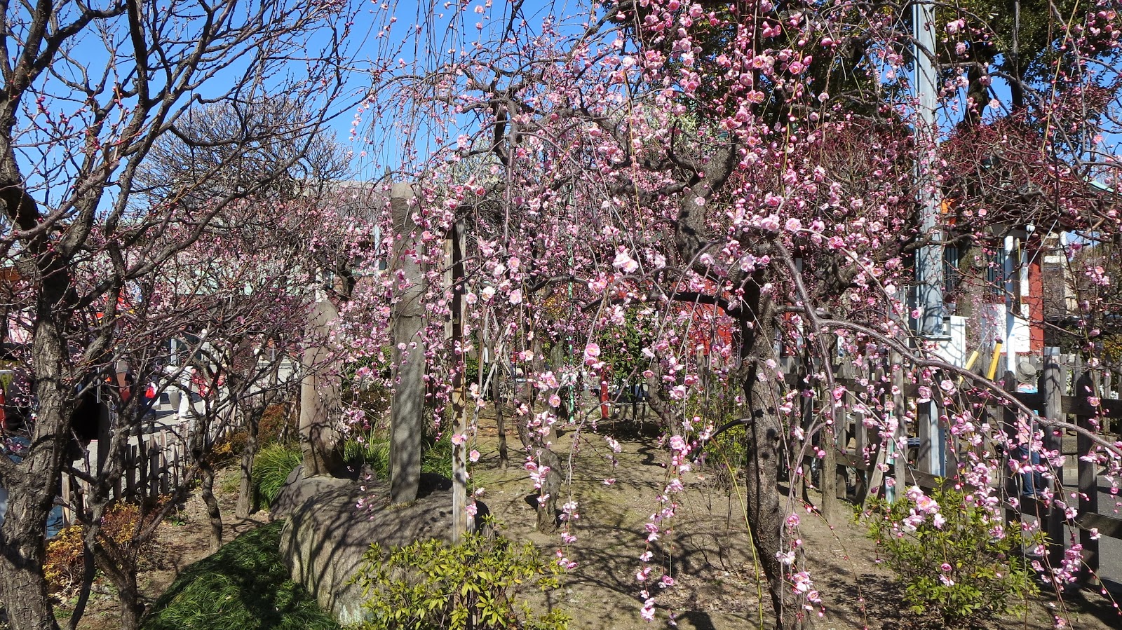 [IMG_0403%255B2%255D.jpg]