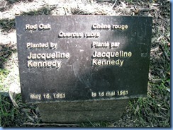 6448 Ottawa 1 Sussex Dr - Rideau Hall - red oak planted by Jacqueline Kennedy 6448 Ottawa 1 Sussex Dr - Rideau Hall - red oak planted by Jacqueline Kennedy