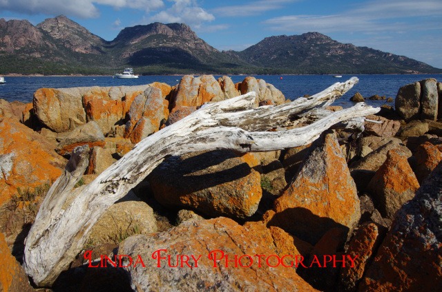 [Coles%2520Bay%2520004%255B4%255D.jpg]