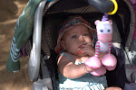 IMGP3110.jpg IMGP3110.jpg