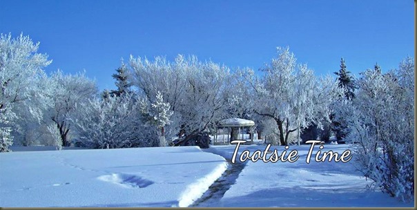 BeFunky_1456486_397092183757276_1054929520_n.jpg BeFunky_1456486_397092183757276_1054929520_n.jpg