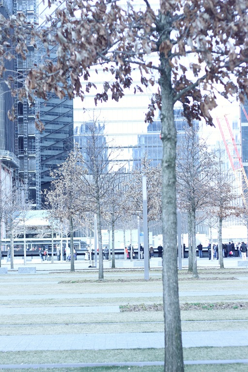 [IMG_3531%255B5%255D.jpg]