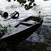 dsc04094.jpg