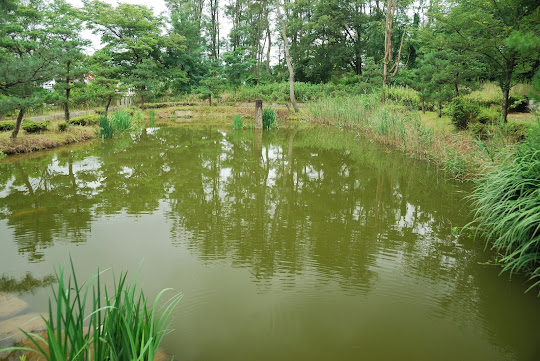 首洗池