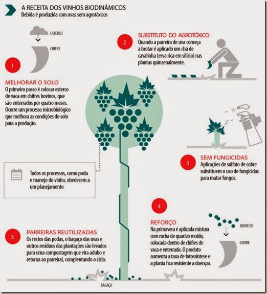 cultivo-biodinamico-vinho-e-delicias cultivo-biodinamico-vinho-e-delicias