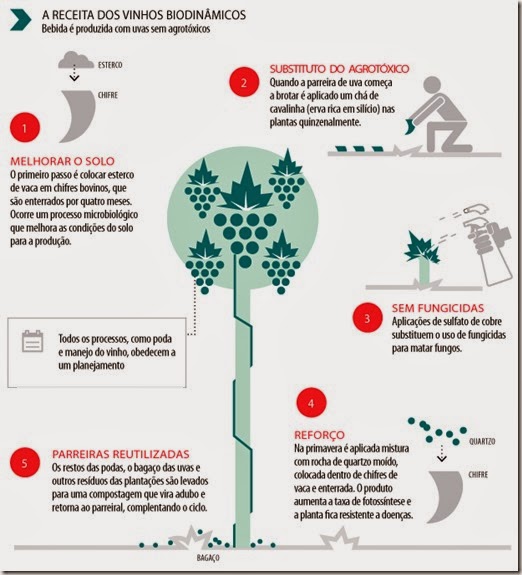 cultivo-biodinamico-vinho-e-delicias