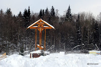 DSC00460.JPG Photo