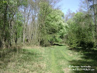 dsc06298.jpg