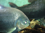 IMG_20111214_095600.jpg