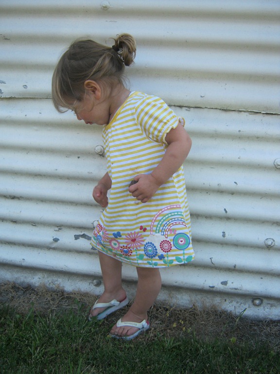 [IMG_6541%255B5%255D.jpg]