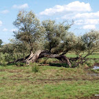 20100824_001_small.JPG