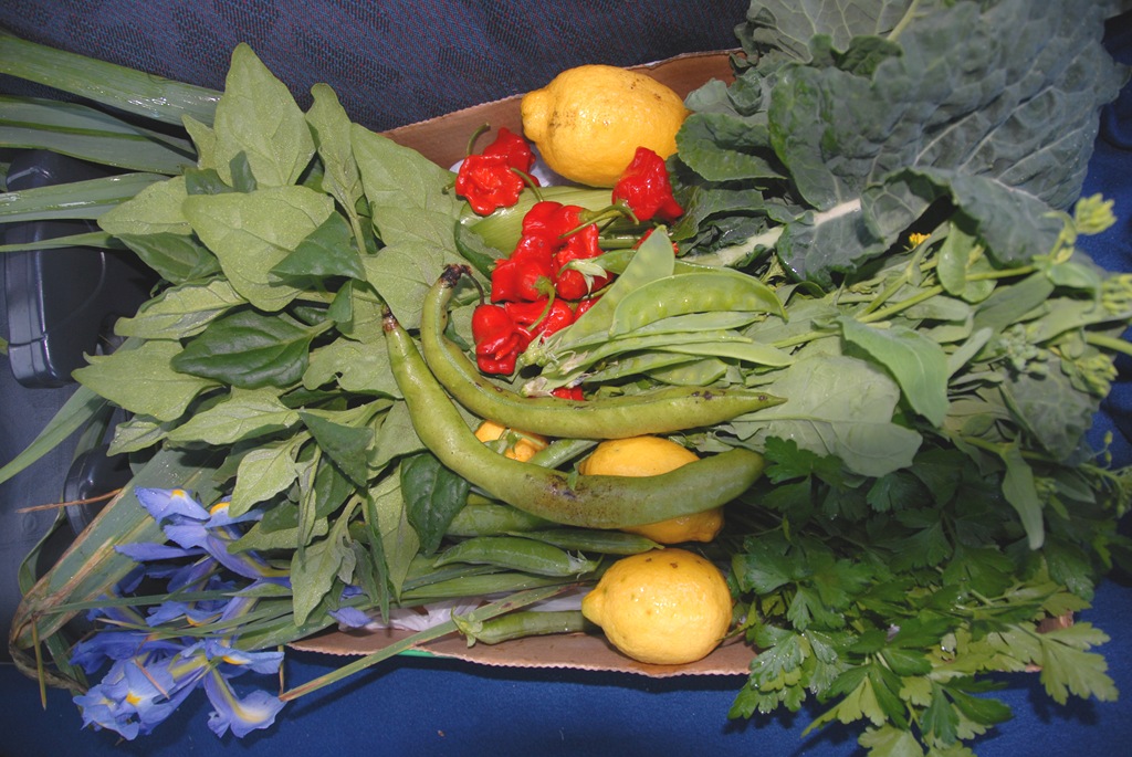 [DSC_0122%255B13%255D.jpg]