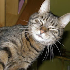 PC201038.JPG