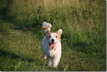 sprint