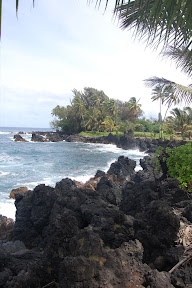 DSC_0911.jpg