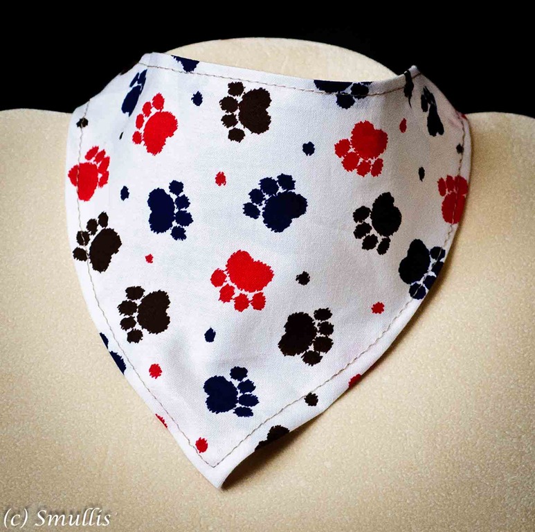 [DogBandana110711-1%255B4%255D.jpg]