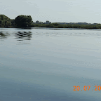 DSCN4436-MOTION.gif