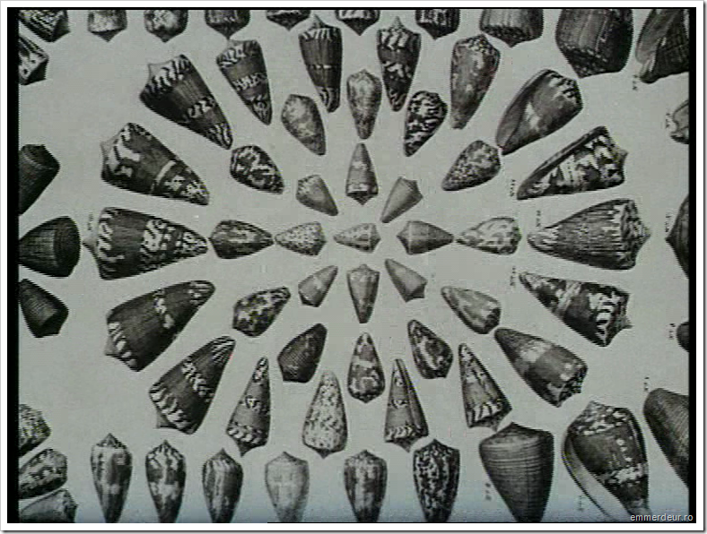 jan svankmajer historia naturae emmerdeur_05 jan svankmajer historia naturae emmerdeur_05