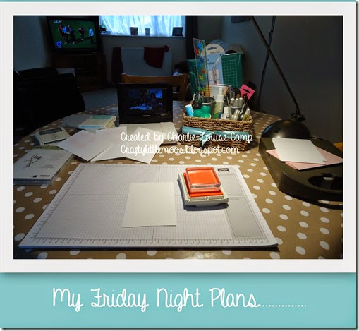my friday night plans 20-06-2014 09-46-02 my friday night plans 20-06-2014 09-46-02