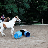 6Y1I3152_DxO_raw.jpg 6Y1I3152_DxO_raw.jpg