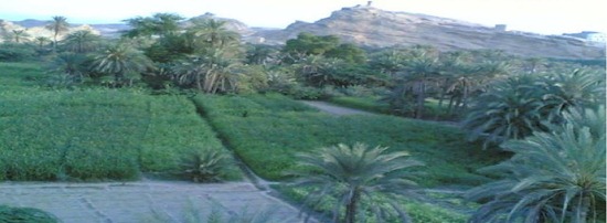 منظر من وادي لحج3 (3)