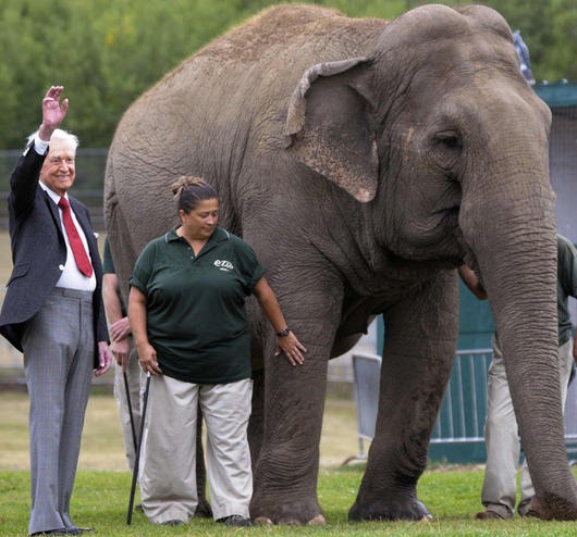 [Bob%2520Barker%2520with%2520Lucy%2520the%2520Elephant%255B44%255D.jpg]