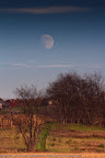 20111106-IMG_3540.jpg