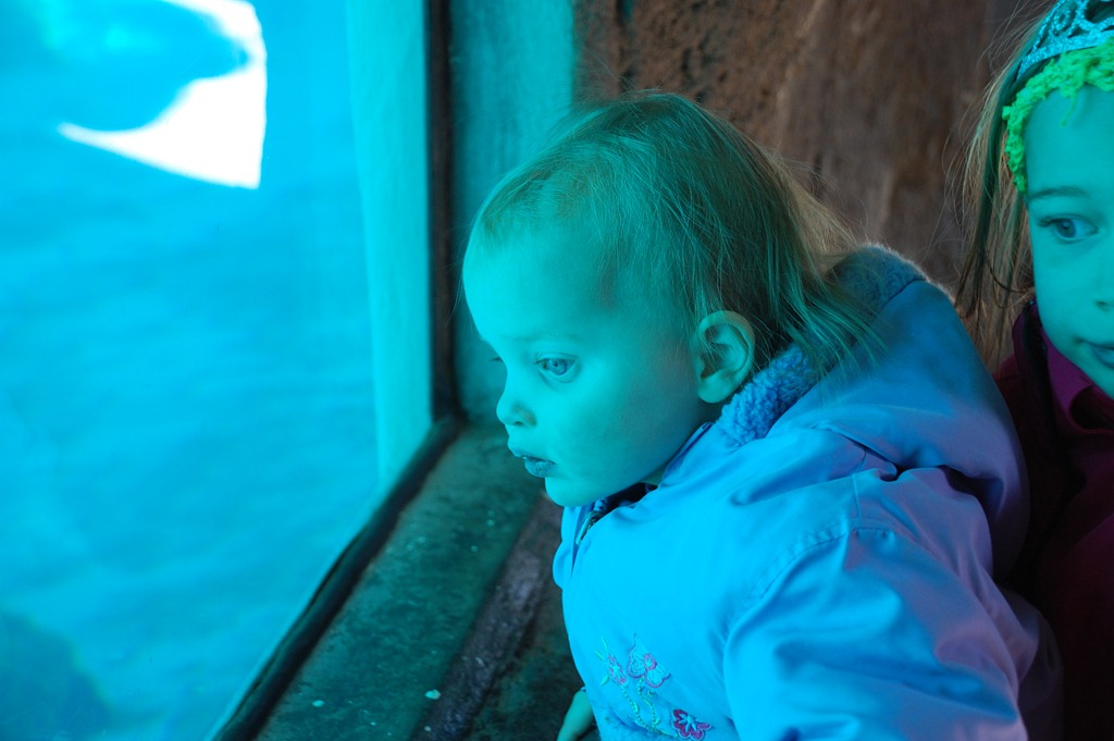 [DSC_0139%255B4%255D.jpg]