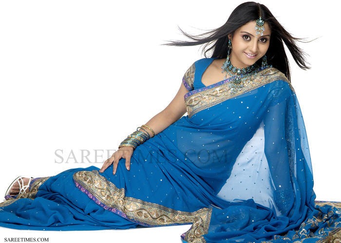 [Sunitha%2520Varma_Blue_Sari%255B4%255D.jpg]