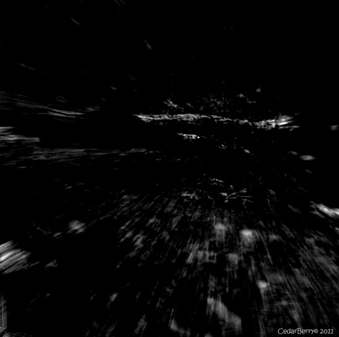 [dragons%2520foot%255B11%255D.jpg]