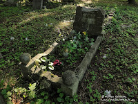 Cmentarz przy ul. Samotnej w Poznaniu