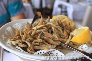 IMG_0996 IMG_0996