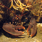 IMG_5510.JPG