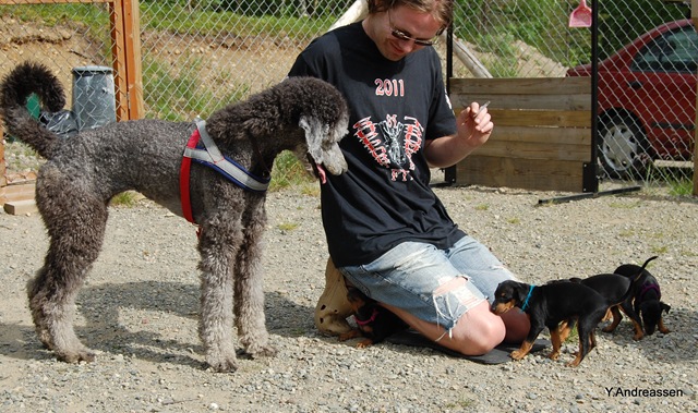 [DSC_6088%255B3%255D.jpg]