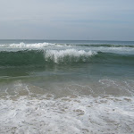 IMG_5611.JPG