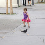 DSCF9815.JPG