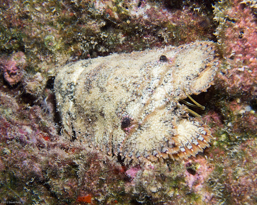 P3242852