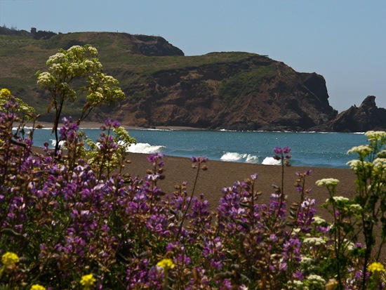 Marin Headlands