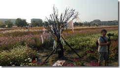 IMG_1145 IMG_1145