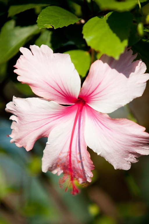 [20121217-IMG_48043.jpg]