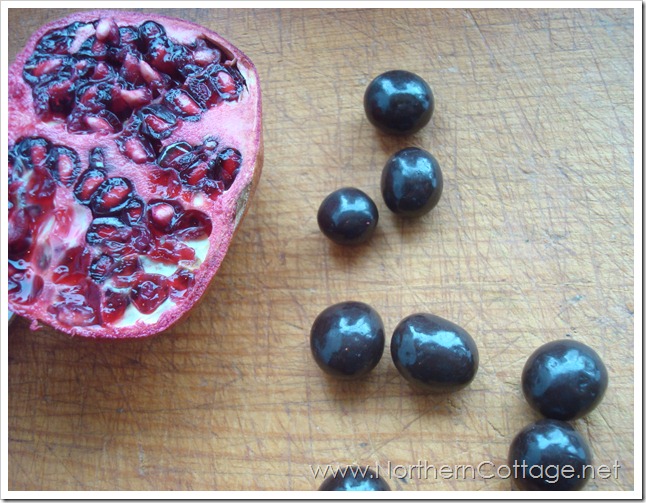brookside chocolates with pomegranite @northerncottage.net brookside chocolates with pomegranite @northerncottage.net