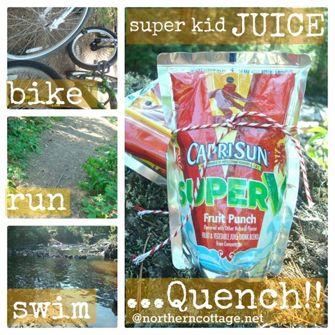 [super%2520kid%2520JUICE%2520collage%2520northern%2520cottage%255B6%255D.jpg]