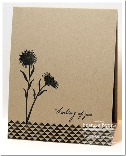 MFT-CreativeWildflowers2-wm MFT-CreativeWildflowers2-wm